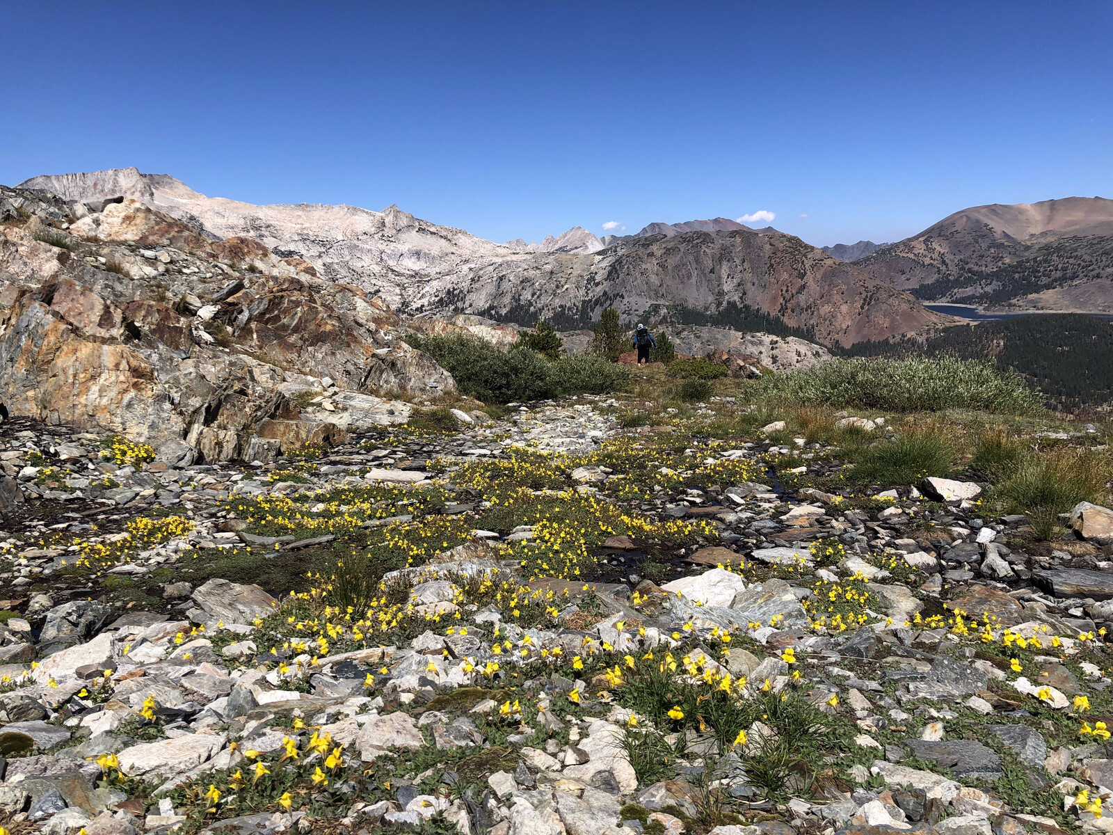 Rocky alpine basin with yellow flowers and distant peaks
